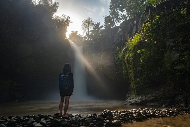Bali Arts, Waterfalls & Monkey Forest Private Tour - Practicalities and Considerations