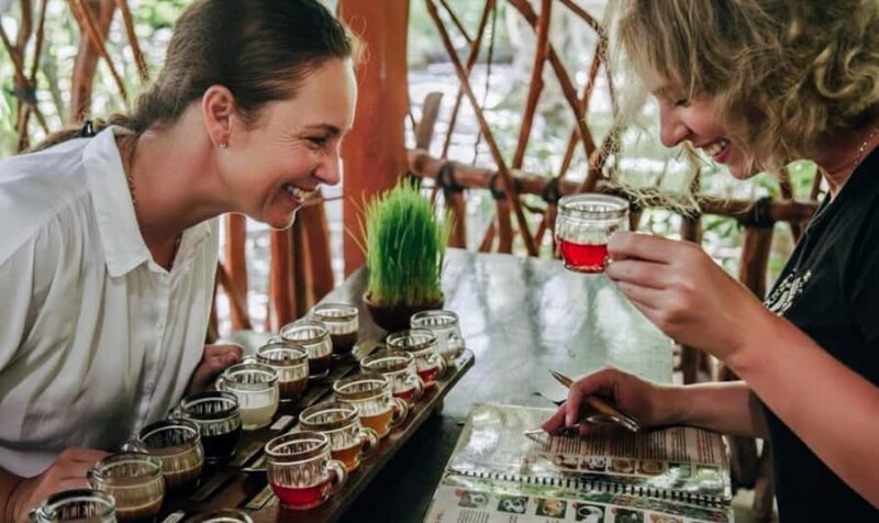 Bali: ATV, Coffee Plantation, Temple & Monkey Forest Tour - A Deep Dive into the Bali: ATV, Coffee, Temple & Monkey Forest Tour