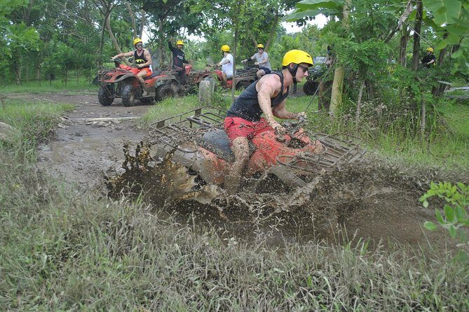 Bali ATV Combined with Mumbul Lake And Sangeh Monkey Forest - Encountering Monkeys at Sangeh Monkey Forest
