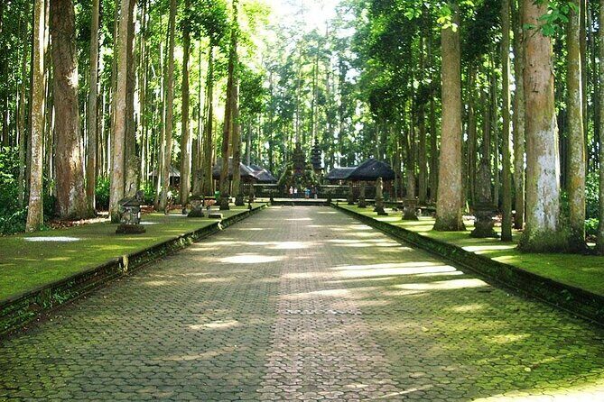 Bali ATV Combined with Mumbul Lake And Sangeh Monkey Forest - The Sum Up: Is It Worth It?