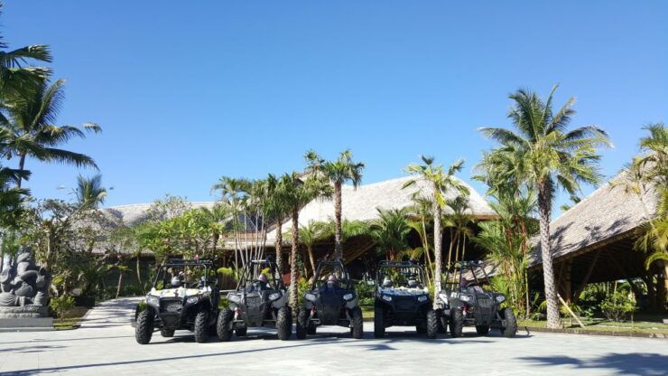 Bali: ATV Jungle Buggy Adventure - Experience
