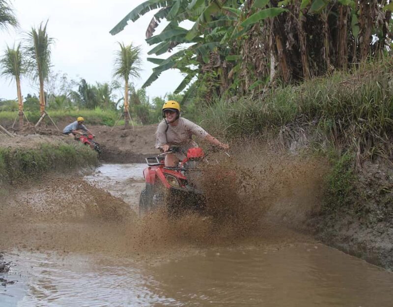 Bali: ATV Quad Bike Adventure 250cc or 300cc Engines in Ubud - Meta Description