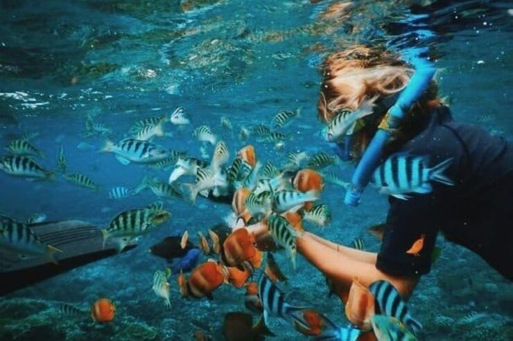 Bali: ATV - Quad Bike Adventure and Blue Lagoon Snorkeling - Pricing Details