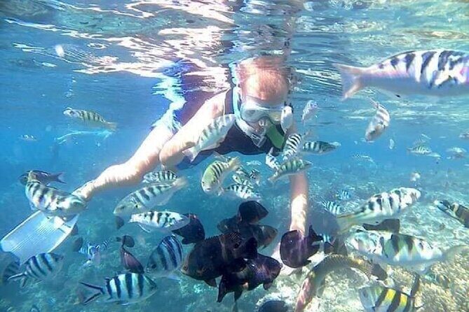 Bali ATV Quad Bike Adventure and Snorkeling Tour - The Sum Up: Who Should Book This Tour?