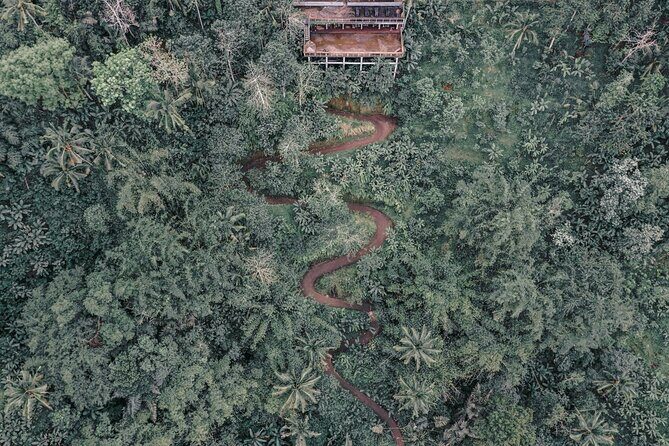 Bali ATV Quad Bike Adventure with Gorilla Cave Pass By Waterfall - Good To Know