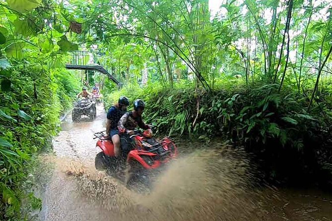 Bali ATV Quad Bike Adventure With Ubud Swing and Monkey Forest - Itinerary Overview