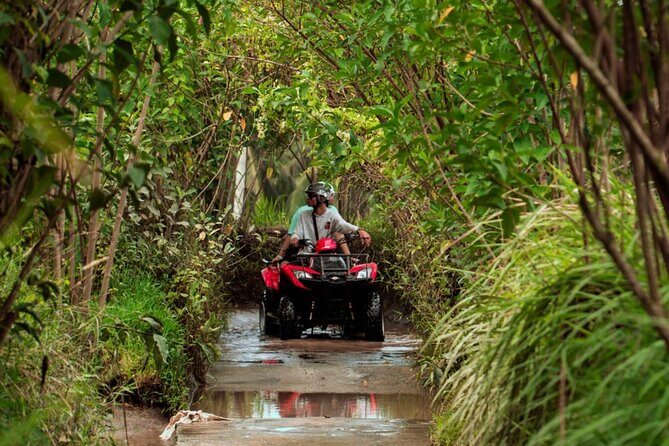 Bali ATV Quad Bike and Ayung Rafting with All Inclusive Tour - Insights from Reviews