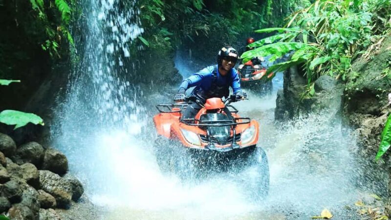 Bali: ATV Quad Bike, Monkey Forest, Jungle Swing with Lunch - Good To Know