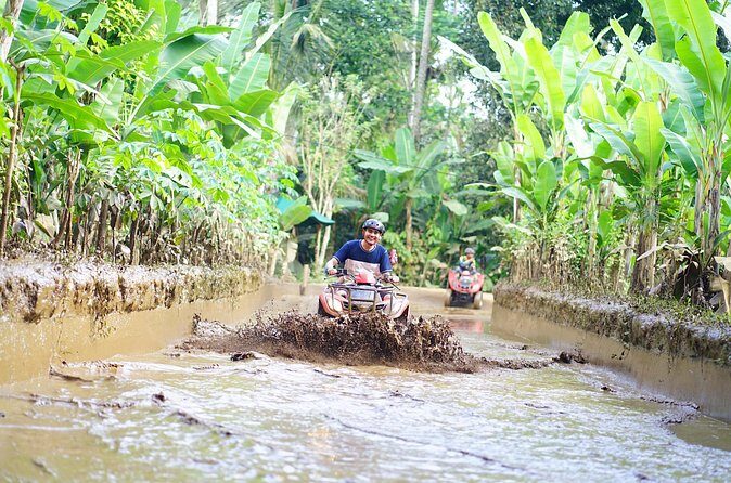 Bali ATV Quad Bike Single with Waterfall and Gorilla Cave+ Lunch - The Sum Up