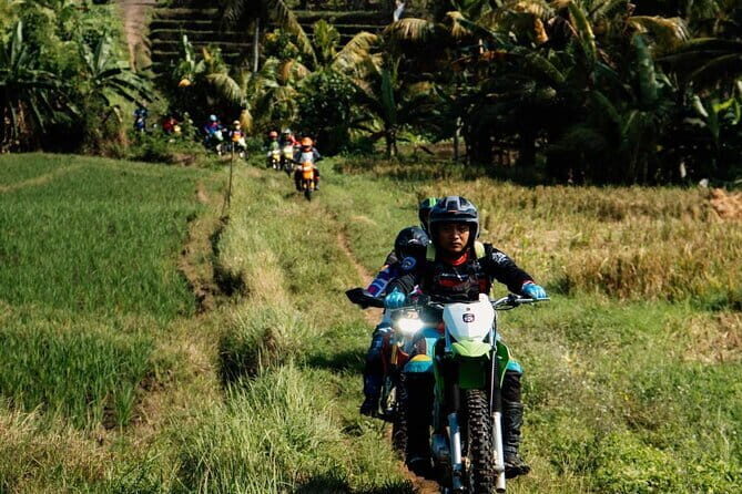 Bali ATV Quad Bike Ubud Swing & Monkey Forest All Inclusive - Whats Included and Why it Matters