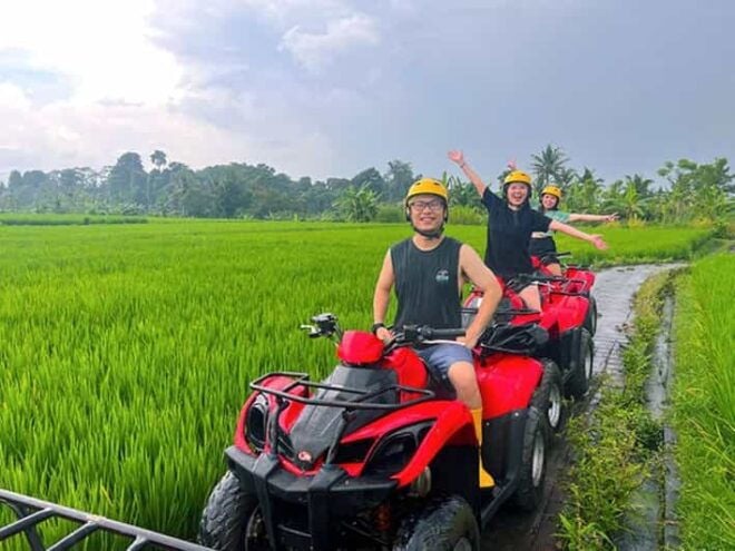 Bali: ATV Quad Bike - Water Temple and Rice Terrace - Adventure Highlights
