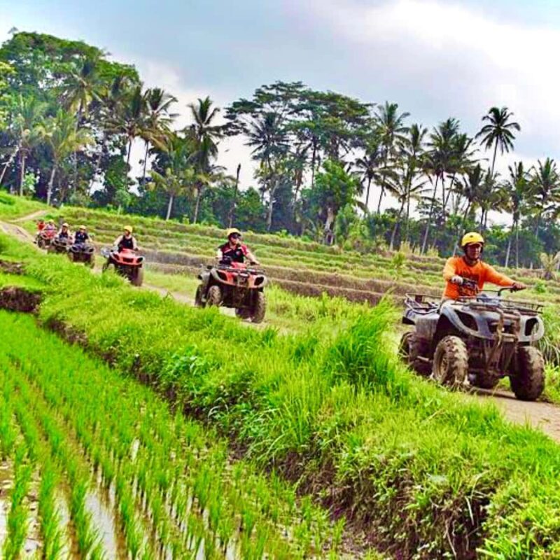 Bali: ATV Quad Biking and Water Rafting Adventure Tour - Bali: ATV Quad Biking and Water Rafting Adventure Tour Review