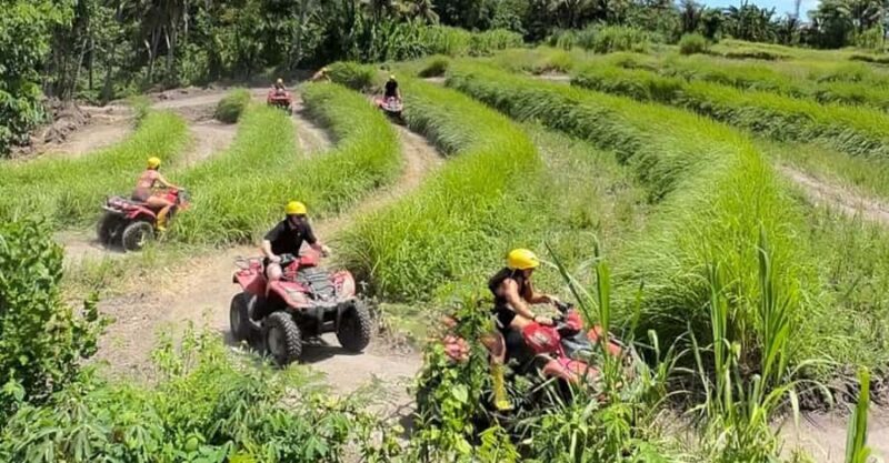 Bali: ATV Ride Adventure with track river bank, dense forest - An Overview of the Experience