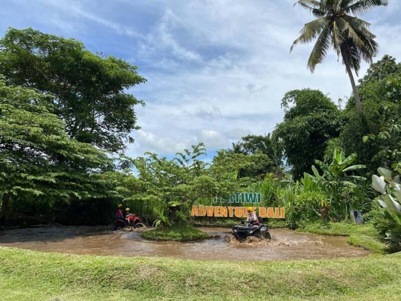 Bali: ATV Ride and Horse Riding Package with Lunch - Introduction  