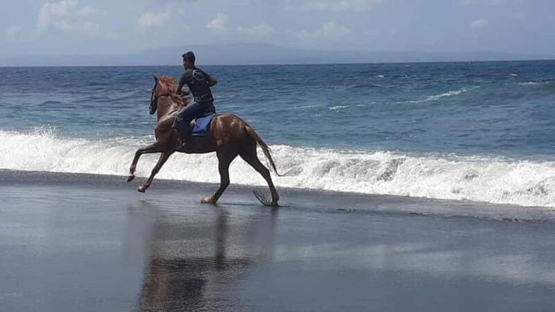 Bali: ATV Ride and Horse Riding Package with Lunch - The Experience: What You Can Expect Throughout the Day