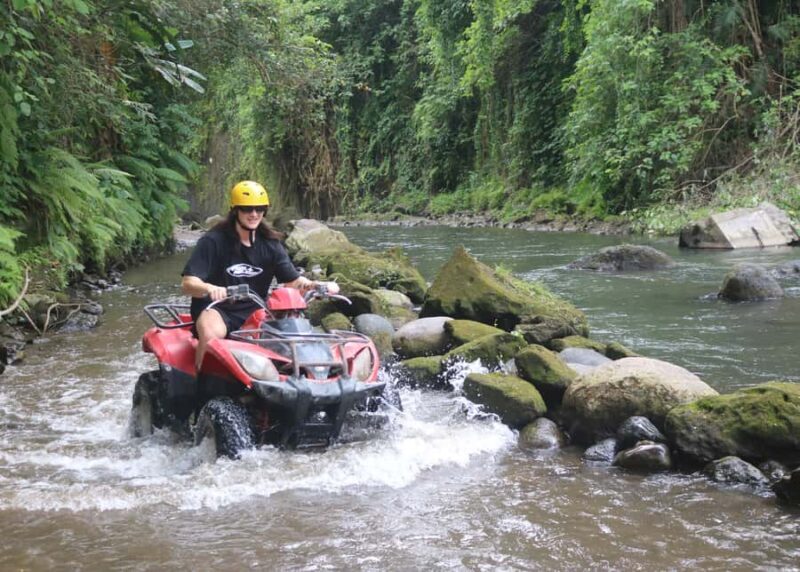Bali: ATV Ride and Jungle Swing Adventure Exclusive Trails - The Value of This Experience
