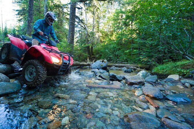 Bali ATV Ride Quad Bike Adventure - Authentic Insights from Reviews