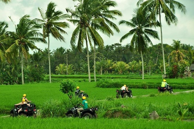 Bali ATV Ride Tour In Ubud - Tour Highlights