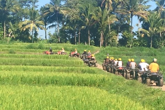 Bali ATV Ride Ubud All Include - Cancellation Policy Overview