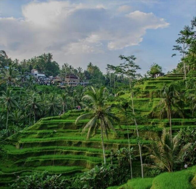 Bali: ATV Ride , Volcano, Rice Terrace Private Tour - Important Information
