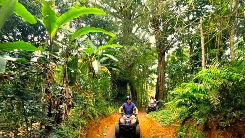 Bali: ATV Ride with Waterfall and Jungle Trails - Introduction: An Adventure Worth Considering