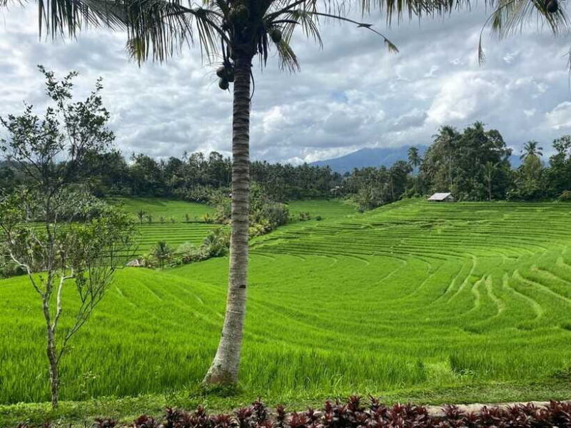 Bali : Authentic Balinese Local Life Tour - Pricing and Value