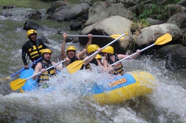 Bali Ayung Rafting and Jungle Swing - Tour Inclusions