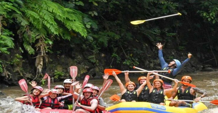 Bali : Ayung Rafting, Monkey Forest and Swing Tour - Activity Details