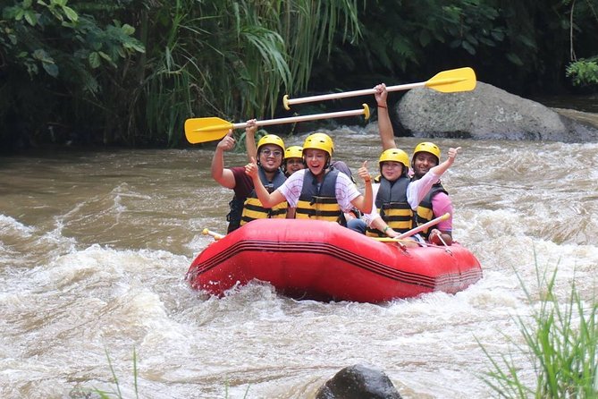 Bali Ayung River White-Water Rafting With Lunch  - Ubud - Pricing and Booking Details