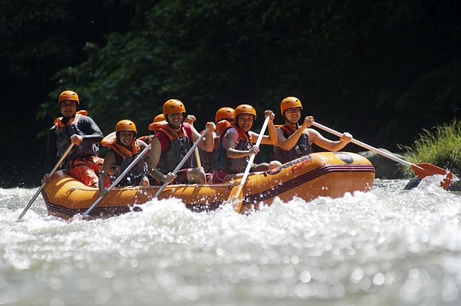 Bali Ayung River White Water Rafting With Transport - Experience Overview