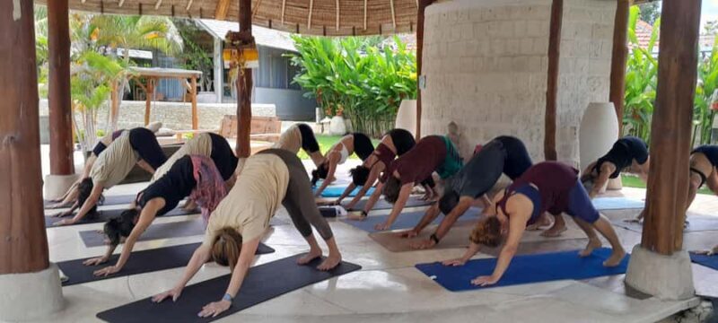 Bali: Balangan Cliff Yoga Class with Ocean Views - Authentic Connection: What Reviewers Say