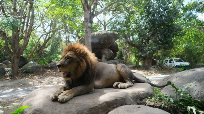 Bali: Bali Safari Day Experiences With Pickup Included - Extraordinary Journey Through Balis Landscapes