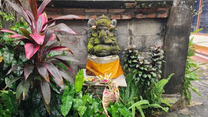 Bali: Balinese Divine Healing & Traditional nerve Therapy - Cultural Tour of Mas Village