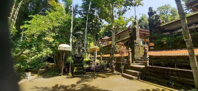 Bali: Barong Dance and Purification Holy Water Temple Tour - Real Traveler Insights