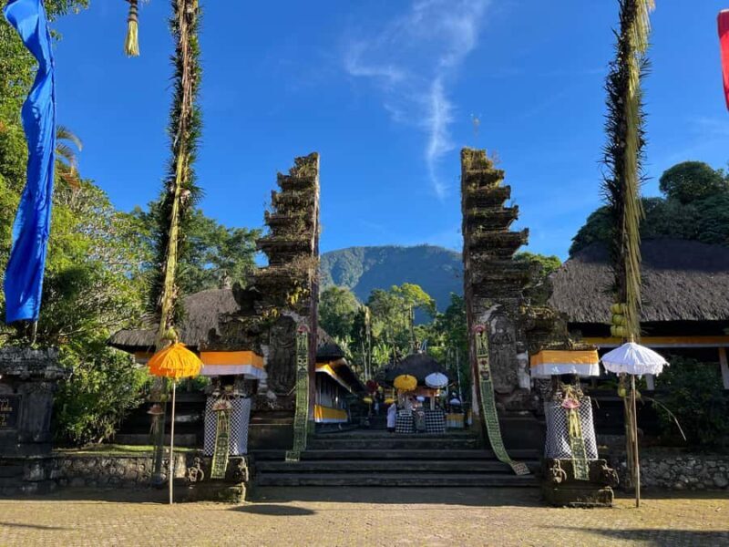 Bali: Batukaru Temple, Waterfall, and Rice Terrace Tour - Exploring North Bali: An Honest Look at the Tour