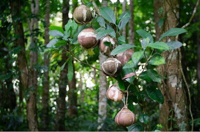 Bali/Batur: Mystical & Burial Rituals Tour with Kehen Temple - Final Thoughts: Who Will Love This Tour?