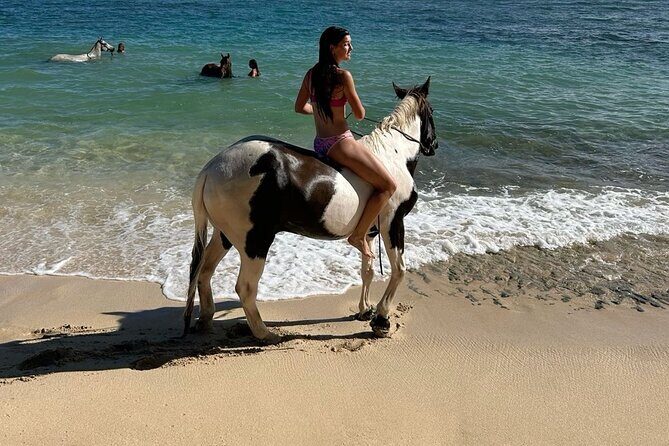 Bali Beach Horse Riding combo with waterfall All Inclusive - Good To Know