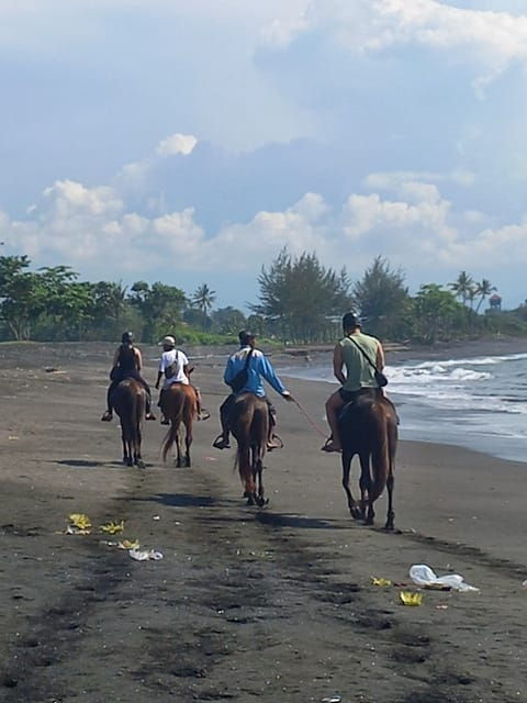 Bali : Beach Horse Riding Experience & Hidden Waterfall - Key Points