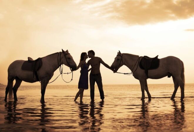 Bali : Beach Horse Riding & Photoshoot - Detailed Itinerary