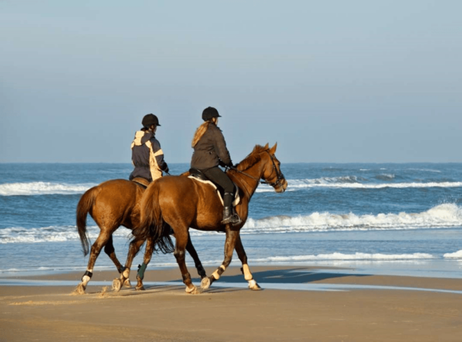 Bali : Beach Horse Riding & Photoshoot - Inclusions and Extras