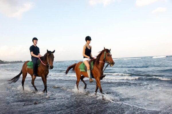 Bali : Beach Horse Riding & Photoshoot - Best Time for Photoshoots