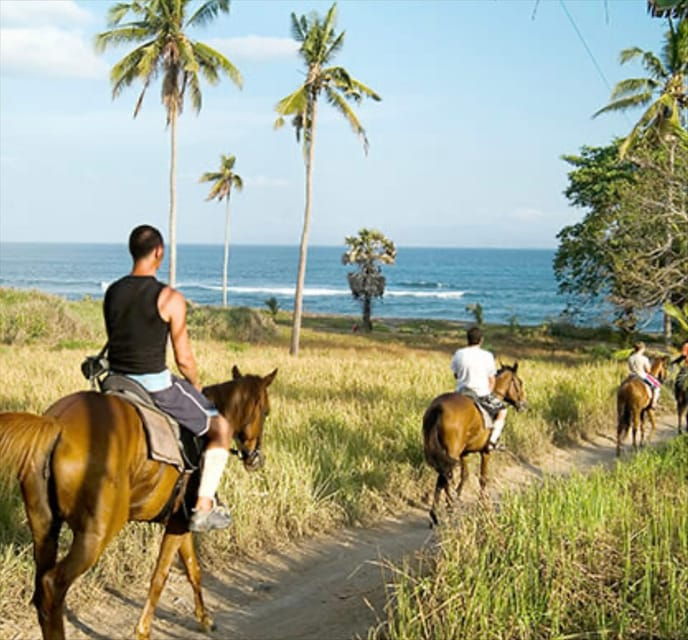 Bali: Beach Horse Riding - Key Points