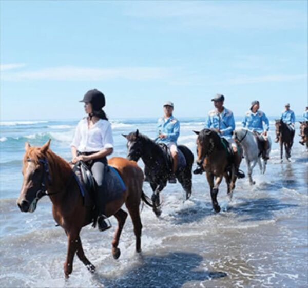 Bali: Beach Horse Riding - Tips for an Enjoyable Experience