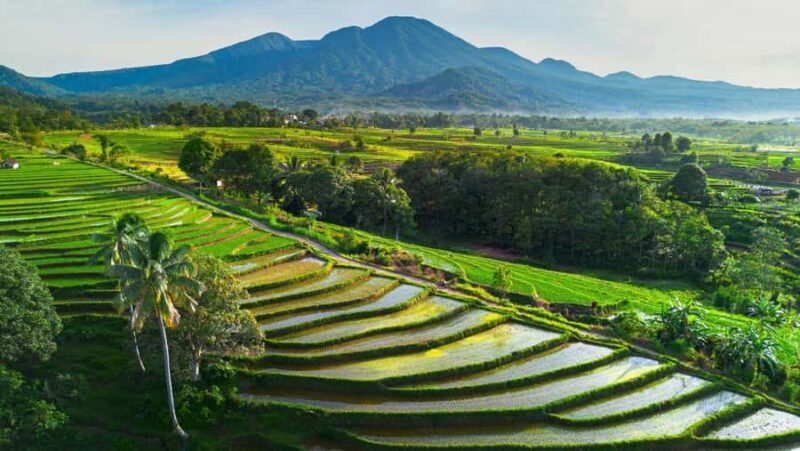 Bali: Beautiful North Bali, Temples, Waterfalls all included - Lunch at CataVaca Restaurant