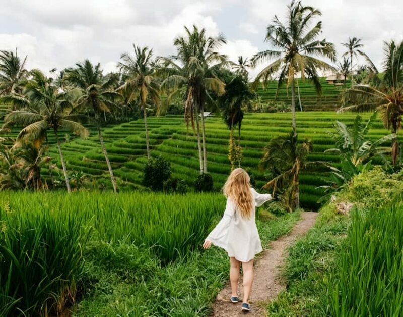 Bali: Bedugul Cultural & Nature Discovery Full Day Tour - Discovering Bali’s Highland Treasures