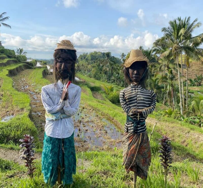 Bali: Bedugul Cultural & Nature Discovery Full Day Tour - Who Should Consider This Tour?