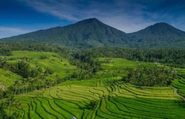 Bali: Bedugul, Jatiluwih, Taman Ayun, Tanah Lot Private Tour - Visiting Tanah Lot Temple
