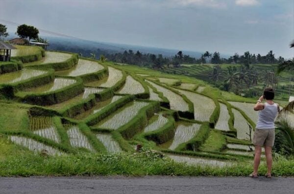 Bali: Bedugul, Jatiluwih, Taman Ayun, Tanah Lot Private Tour - Tour Inclusions and Benefits