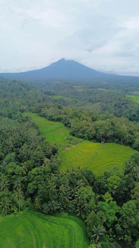 Bali: Belimbing Village Trek with Waterfall & Temple Visit - An In-Depth Look at the Belimbing Village Trek