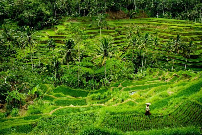 Bali Benoa Shore Excursion for Cruise's Passenger - All Inclusive - FAQs